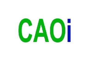 CA India